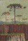 Paisagem Pinheiros (João Ghelfi)