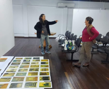 Montagem da exposição Iluminuras em Telêmaco Borba