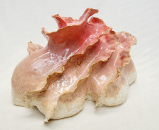 Academia Alfredo Andersen abre temporada de exposições com cerâmica artística. Fotos: Divulgação MCAA