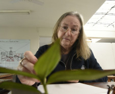 A professora Maria Celina Bini ensina a técnica em lápis de cor. 