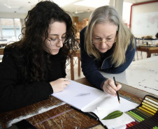 Reproduzir a planta da maneira mais fiel possível é a característica central da arte botânica. 