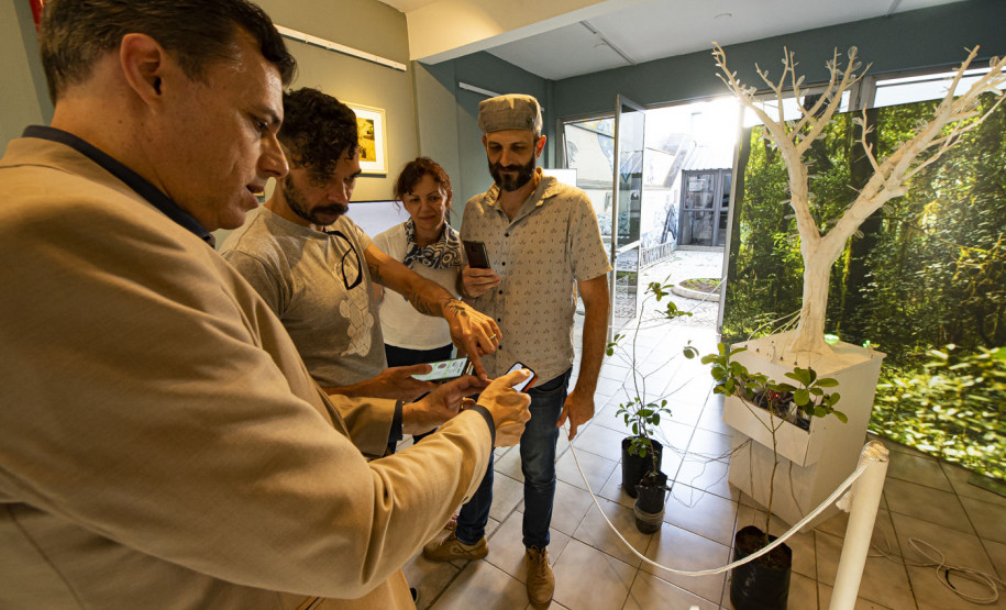 Montagem da exposição cyber ilex
