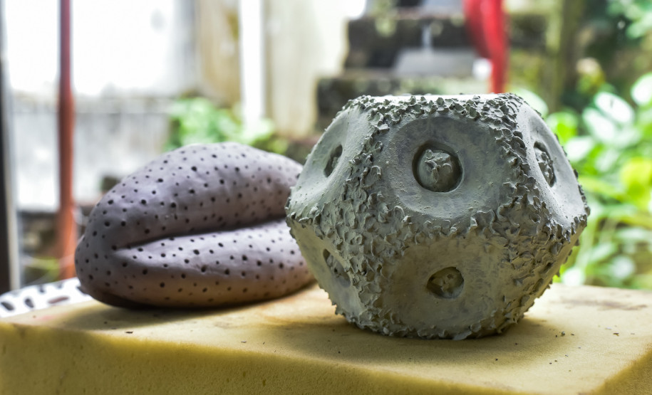 Natureza Invisível: conheça Milena Celli, a nova residente da Academia Alfredo Andersen. Foto: Kraw Penas/SEEC