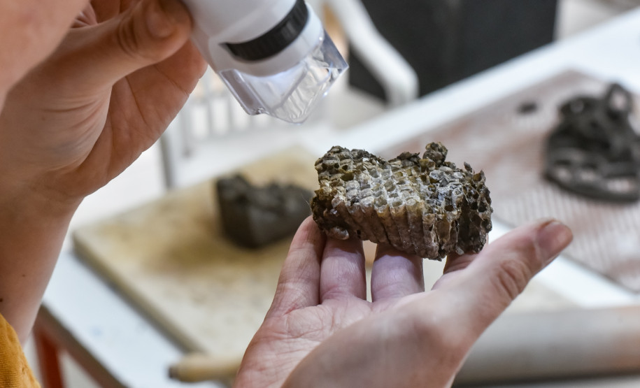 Natureza Invisível: conheça Milena Celli, a nova residente da Academia Alfredo Andersen. Foto: Kraw Penas/SEEC