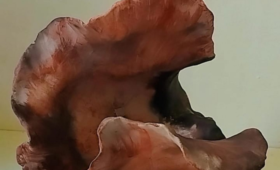 Alunos da Academia Andersen são selecionados para o Salão de Artes Visuais. Dança - Juliane Fausto