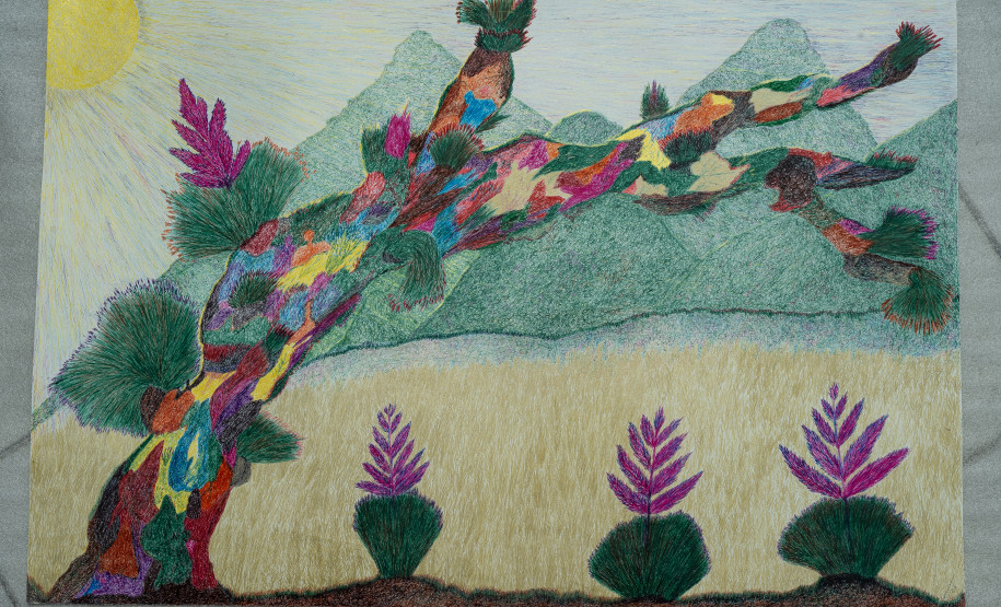 Museu Casa Alfredo Andersen assina curadoria de nova exposição de Marçal Marques. Foto: Kraw Penas/SEEC