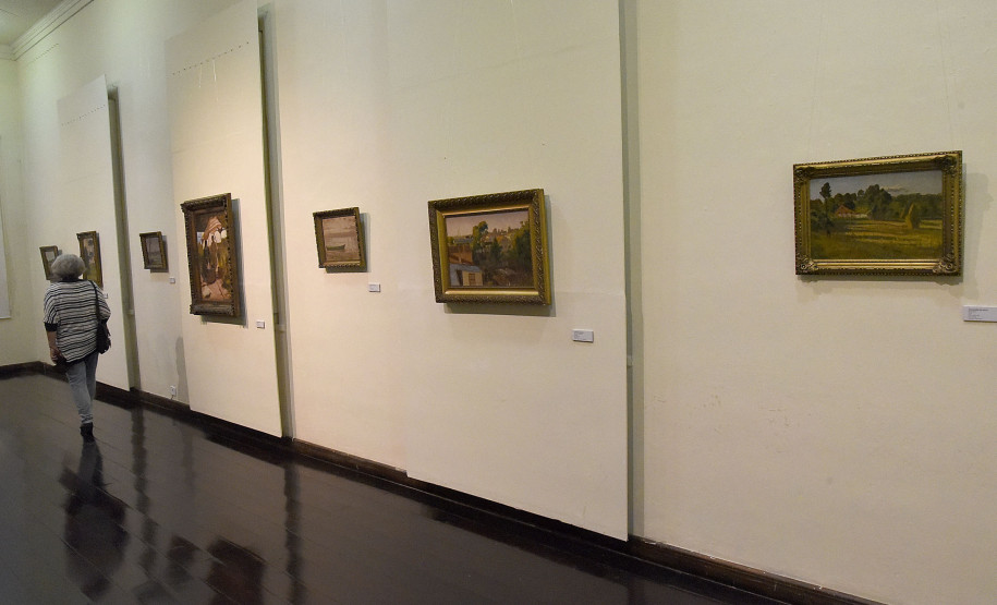 Exposição Cultura Paranaense – Percepções de Andersen fica até julho