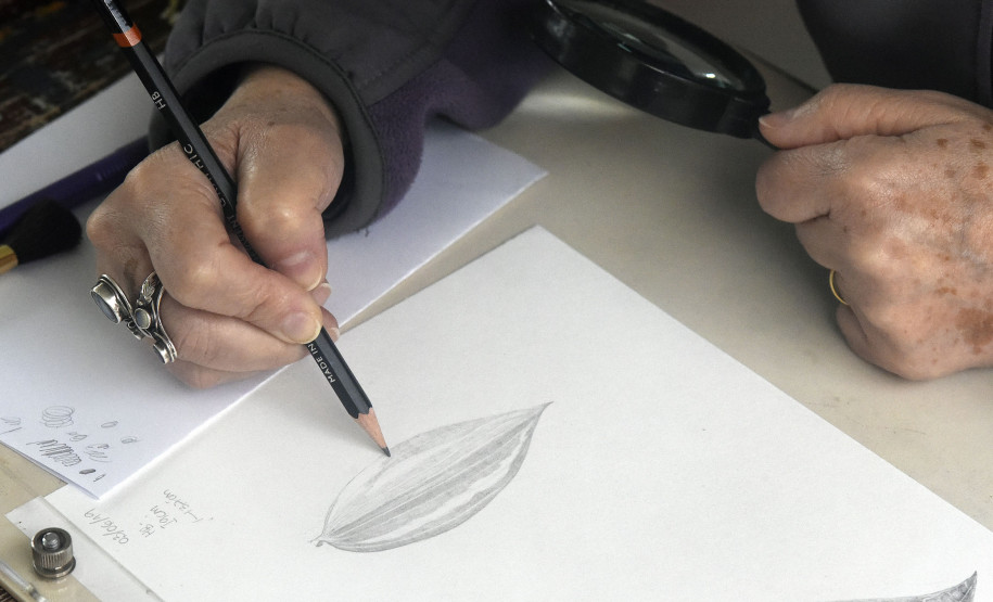 Luz e sombra é outro elemento bastante trabalhado nas aulas.