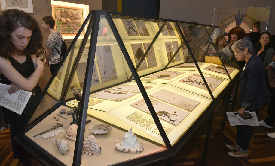 Museus do Estado funcionam em horário especial entre Natal e Ano-Novo Exposição "Ephemera/Perpétua" no Museu Paranaense (MUPA).